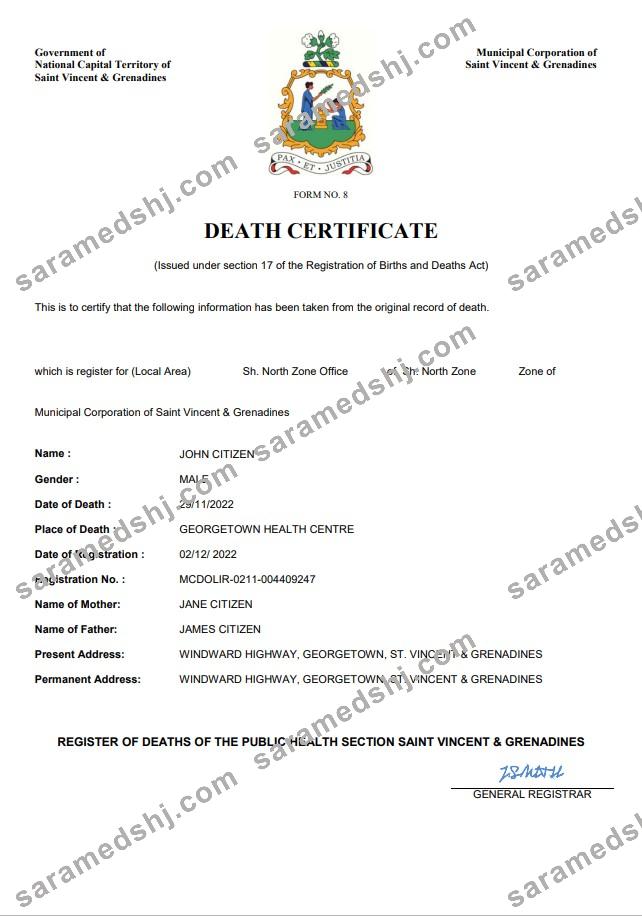 Saint Vincent and the Grenadines vital record death certificate Word and PDF template